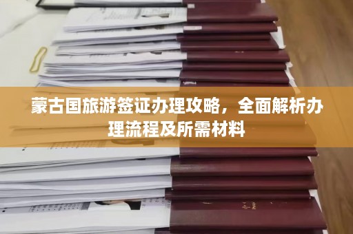 蒙古国旅游签证办理攻略，全面解析办理流程及所需材料