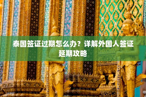 泰国签证过期怎么办？详解外国人签证延期攻略