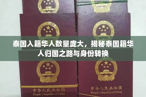 泰国入籍华人数量庞大，揭秘泰国籍华人归国之路与身份转换