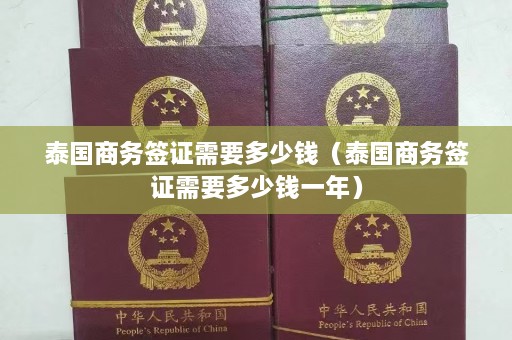 泰国商务签证需要多少钱（泰国商务签证需要多少钱一年）