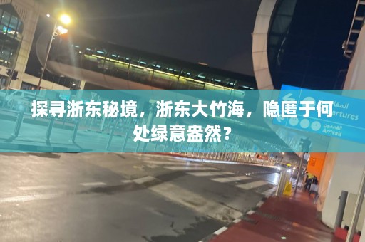 探寻浙东秘境，浙东大竹海，隐匿于何处绿意盎然？