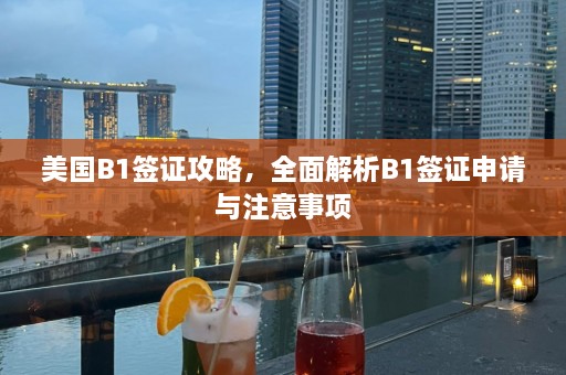 美国B1签证攻略，全面解析B1签证申请与注意事项