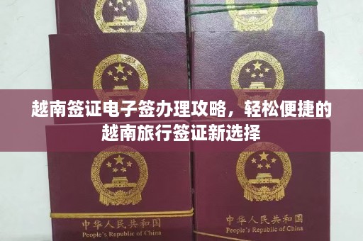 越南签证电子签办理攻略，轻松便捷的越南旅行签证新选择