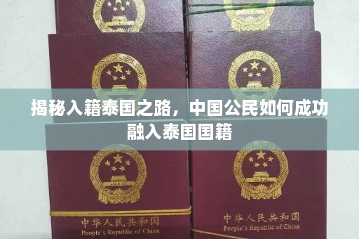 揭秘入籍泰国之路，中国公民如何成功融入泰国国籍