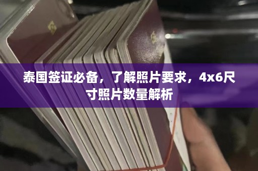 泰国签证必备，了解照片要求，4x6尺寸照片数量解析