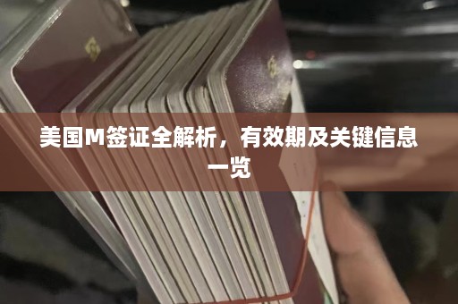 美国M签证全解析，有效期及关键信息一览