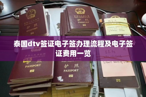 泰国dtv签证电子签办理流程及电子签证费用一览