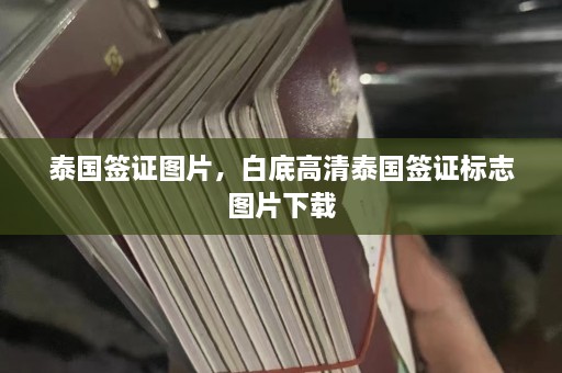 泰国签证图片，白底高清泰国签证标志图片下载