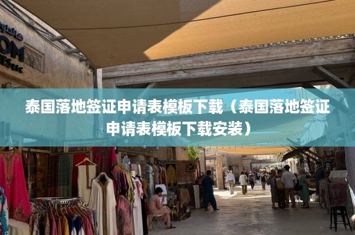 泰国落地签证申请表模板下载（泰国落地签证申请表模板下载安装）