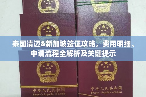 泰国清迈&新加坡签证攻略，费用明细、申请流程全解析及关键提示