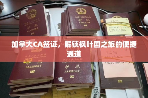 加拿大CA签证，解锁枫叶国之旅的便捷通道