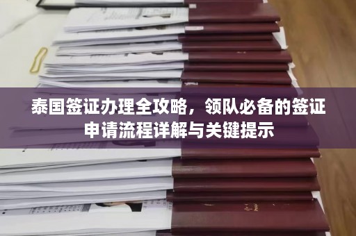 泰国签证办理全攻略，领队必备的签证申请流程详解与关键提示