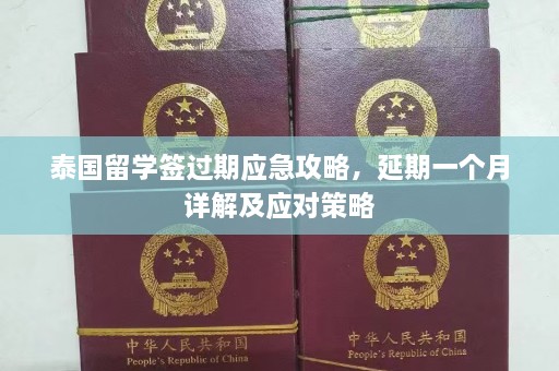 泰国留学签过期应急攻略，延期一个月详解及应对策略