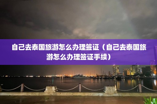 自己去泰国旅游怎么办理签证（自己去泰国旅游怎么办理签证手续）