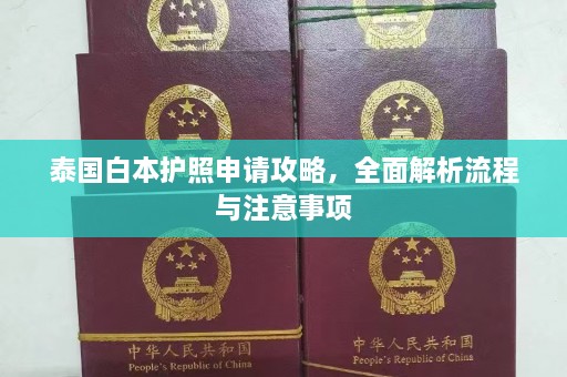 泰国白本护照申请攻略，全面解析流程与注意事项