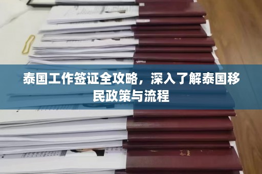 泰国工作签证全攻略，深入了解泰国移民政策与流程