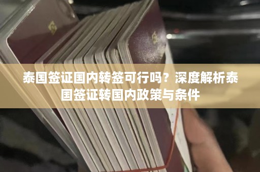 泰国签证国内转签可行吗？深度解析泰国签证转国内政策与条件