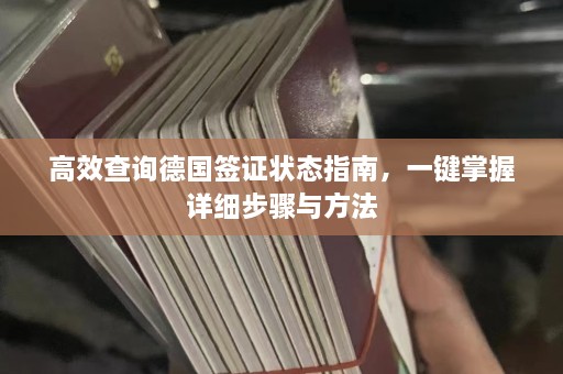 高效查询德国签证状态指南，一键掌握详细步骤与方法