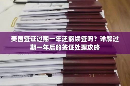 美国签证过期一年还能续签吗？详解过期一年后的签证处理攻略