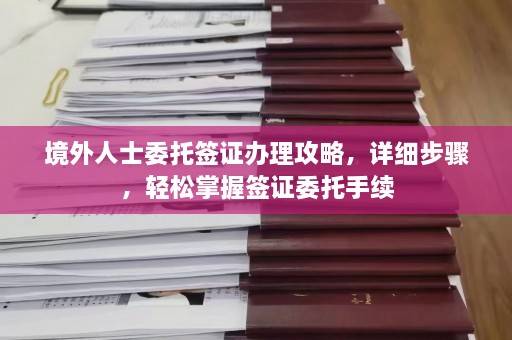 境外人士委托签证办理攻略，详细步骤，轻松掌握签证委托手续