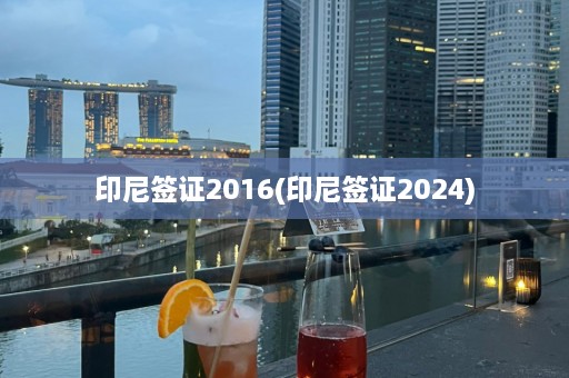 印尼签证2016(印尼签证2024)  第1张