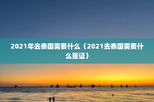 2021年去泰国需要什么（2021去泰国需要什么签证）