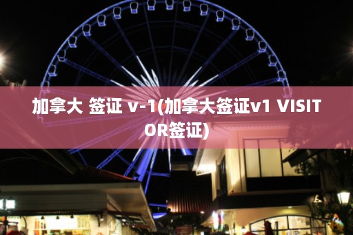 加拿大 签证 v-1(加拿大签证v1 VISITOR签证)  第1张