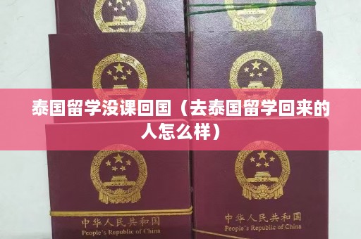 泰国留学没课回国（去泰国留学回来的人怎么样）