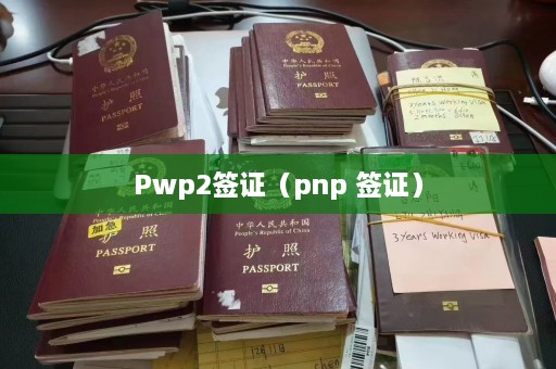 Pwp2签证（pnp 签证）  第1张