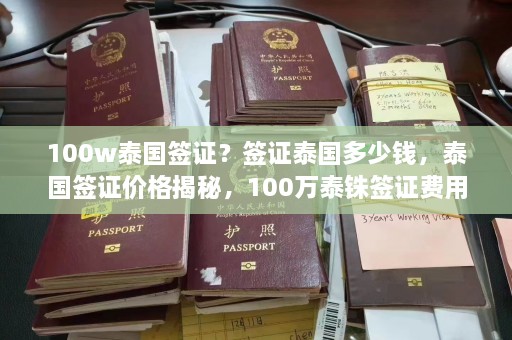 100w泰国签证？签证泰国多少钱，泰国签证价格揭秘，100万泰铢签证费用真相