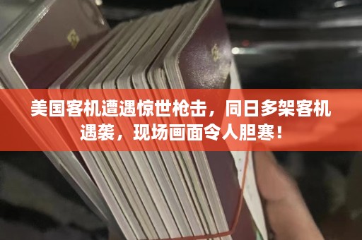 美国客机遭遇惊世枪击，同日多架客机遇袭，现场画面令人胆寒！