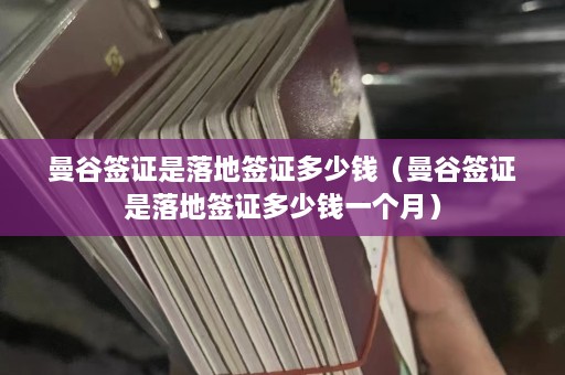 曼谷签证是落地签证多少钱（曼谷签证是落地签证多少钱一个月）  第1张