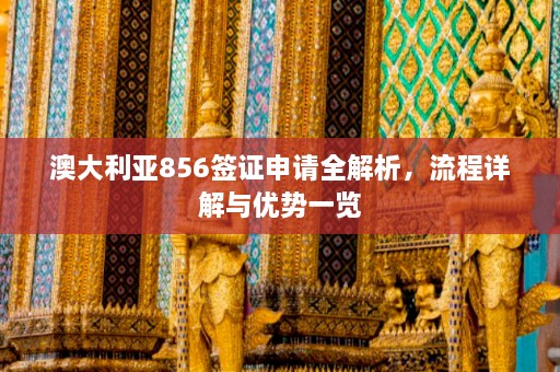 澳大利亚856签证申请全解析，流程详解与优势一览  第1张