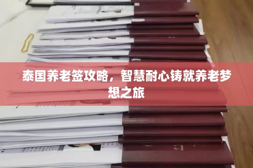 泰国养老签攻略，智慧耐心铸就养老梦想之旅