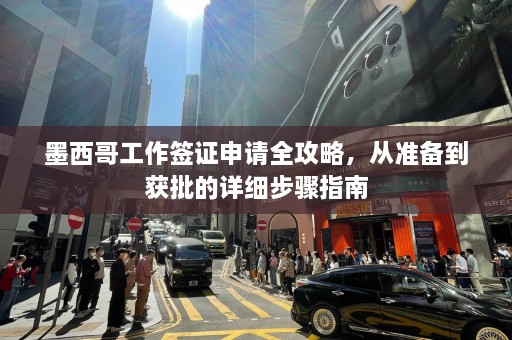 墨西哥工作签证申请全攻略，从准备到获批的详细步骤指南