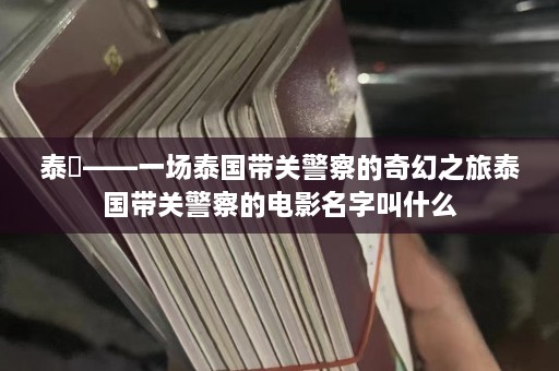 泰囧——一场泰国带关警察的奇幻之旅泰国带关警察的电影名字叫什么