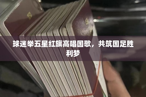 球迷举五星红旗高唱国歌，共筑国足胜利梦