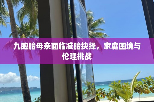 九胞胎母亲面临减胎抉择，家庭困境与伦理挑战  第1张