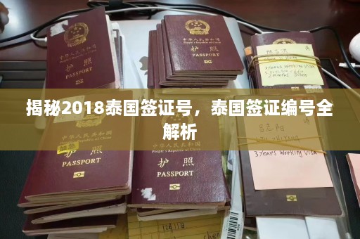 揭秘2018泰国签证号，泰国签证编号全解析