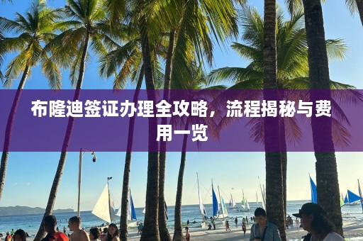 布隆迪签证办理全攻略，流程揭秘与费用一览