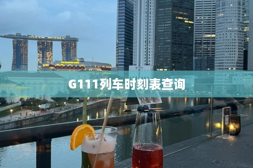 G111列车时刻表查询