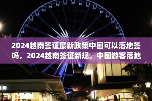 2024越南签证最新政策中国可以落地签吗，2024越南签证新规，中国游客落地签政策解析