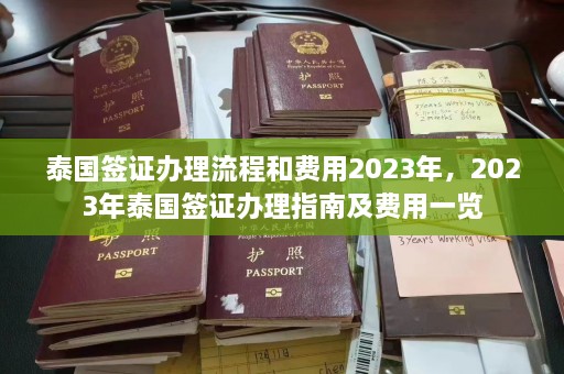 泰国签证办理流程和费用2023年，2023年泰国签证办理指南及费用一览