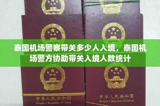 泰国机场警察带关多少人入境，泰国机场警方协助带关入境人数统计  第1张