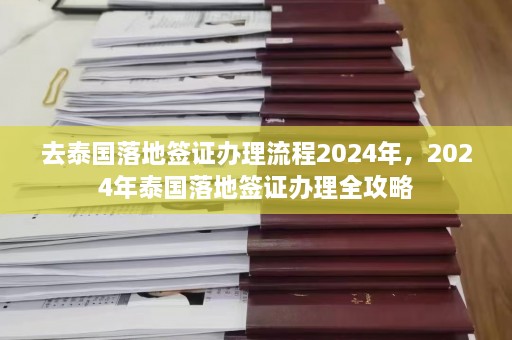 去泰国落地签证办理流程2024年，2024年泰国落地签证办理全攻略  第1张