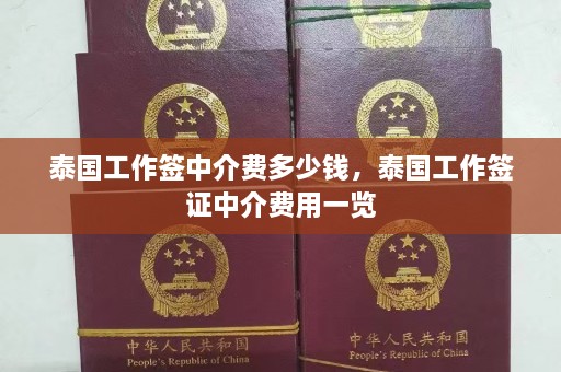 泰国工作签中介费多少钱，泰国工作签证中介费用一览