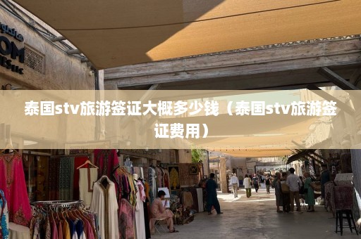 泰国stv旅游签证大概多少钱（泰国stv旅游签证费用）