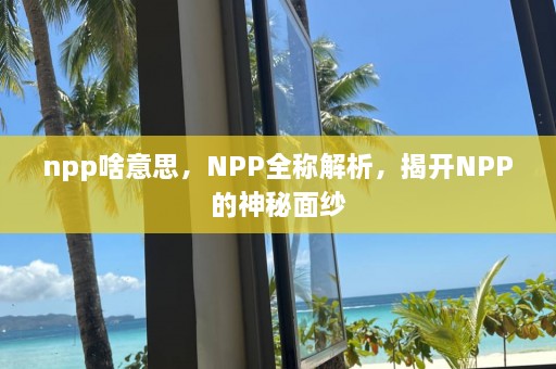 npp啥意思，NPP全称解析，揭开NPP的神秘面纱