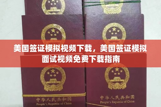 美国签证模拟视频下载，美国签证模拟面试视频免费下载指南