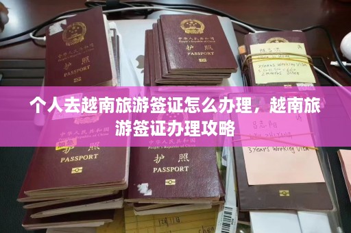 个人去越南旅游签证怎么办理，越南旅游签证办理攻略